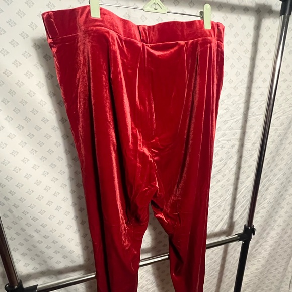 Velvet Red Pants - Picture 12 of 14